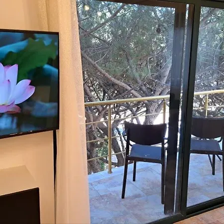 Ocean Bloom Escape B62 *